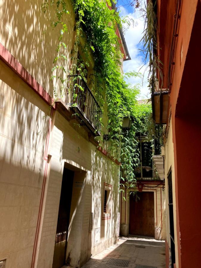 Acogedor Apt 8Pax 4Bdr 2Bth - Cozyhomesevilla1 Kültér fotó
